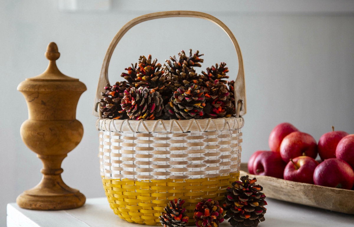 Pine Cone Fire Starters